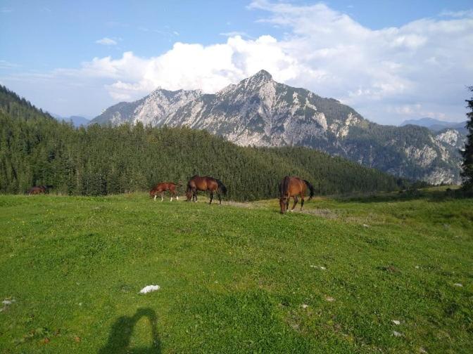 Mountainlove Штробль Екстер'єр фото